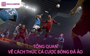 Tổng Quan Về Cách Thức Cá Cược Bóng Đá Ảo