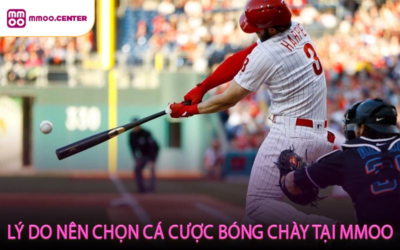 Lý Do Nên Chọn Cá Cược Bóng Chày Tại MMOO